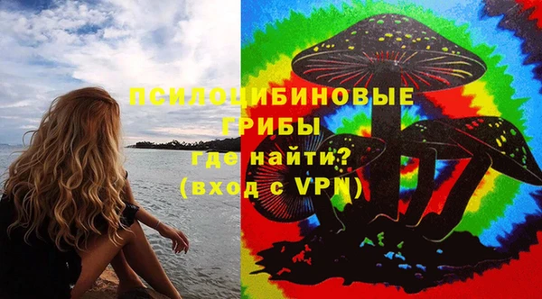 PSILOCYBIN Медногорск