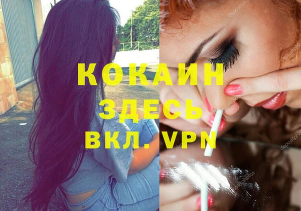 стаф Медвежьегорск