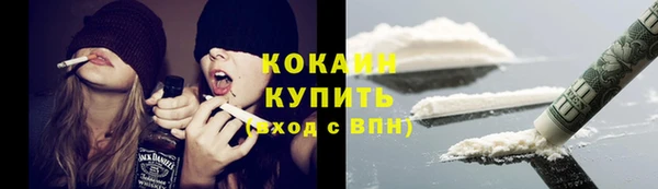 ешки Бикин