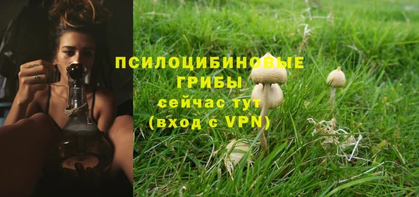 PSILOCYBIN Медногорск