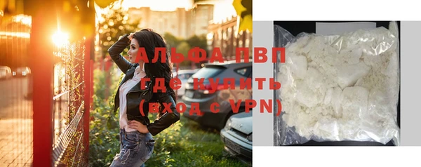стаф Медвежьегорск