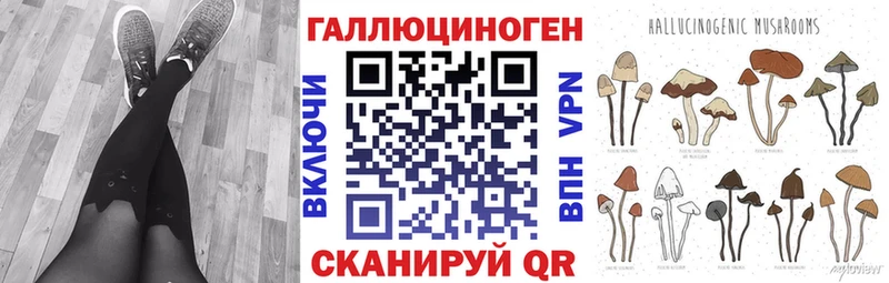 купить наркоту  Нолинск  Псилоцибиновые грибы Psilocybine cubensis 